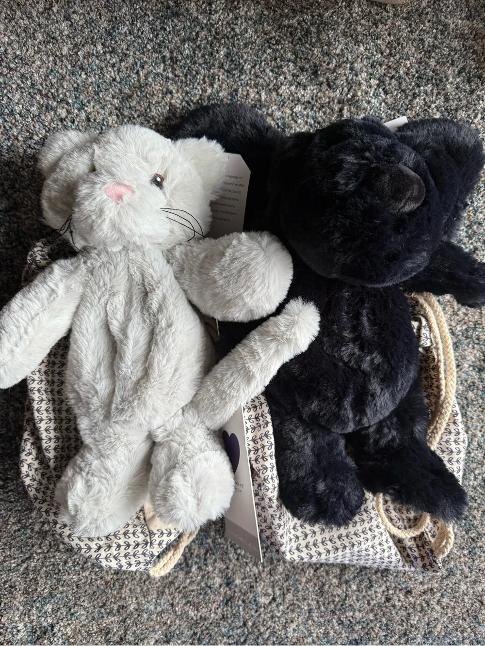 NEW Lavender Life Co. Xander cat and Xander dog
